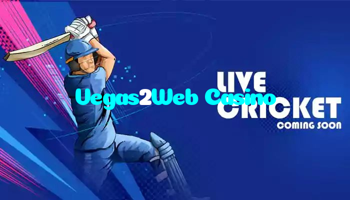 available types of Vegas2Web Casino bet including pre-match live express and system bets